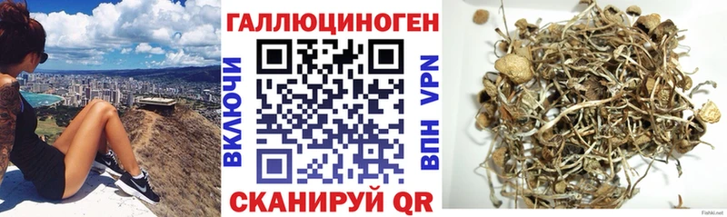Псилоцибиновые грибы мухоморы  Порхов 